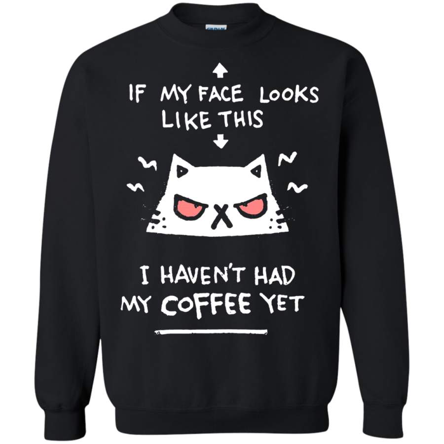 AGR I Haven ‘t Had My Coffee Angry Cat Sweatshirt