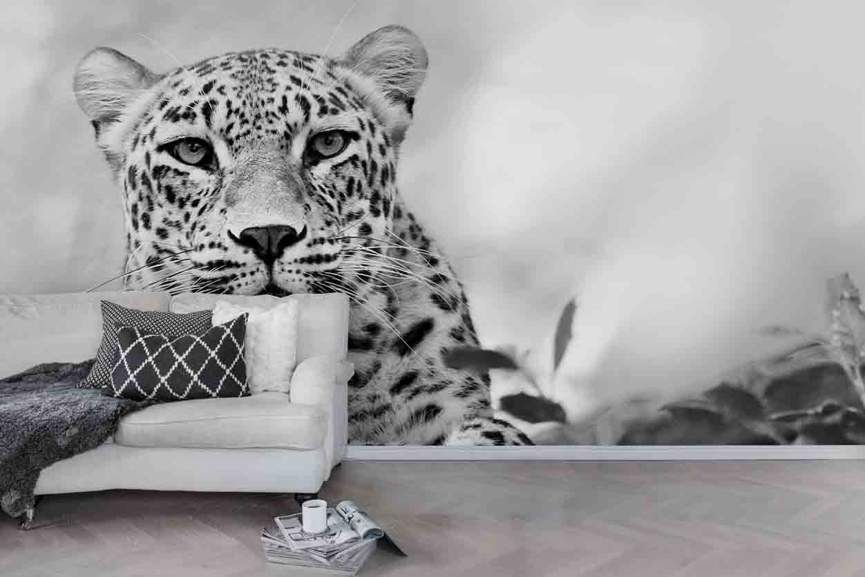 3D Leopard Wall Mural Wallpaper 186