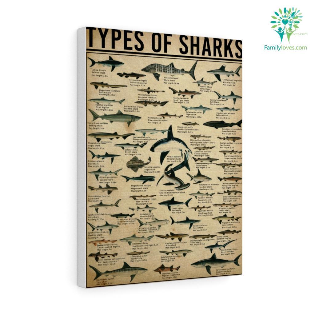 Types Of Sharks Canvas