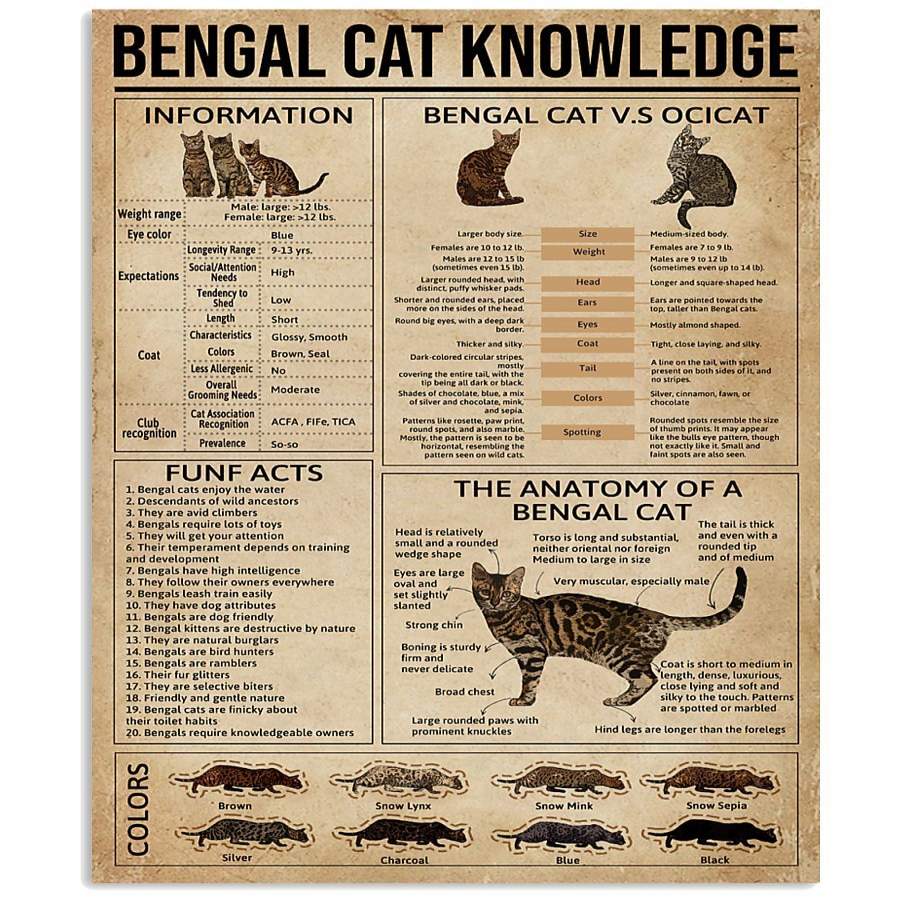 Bengal Cat Knowledge Amazing Vertical Poster