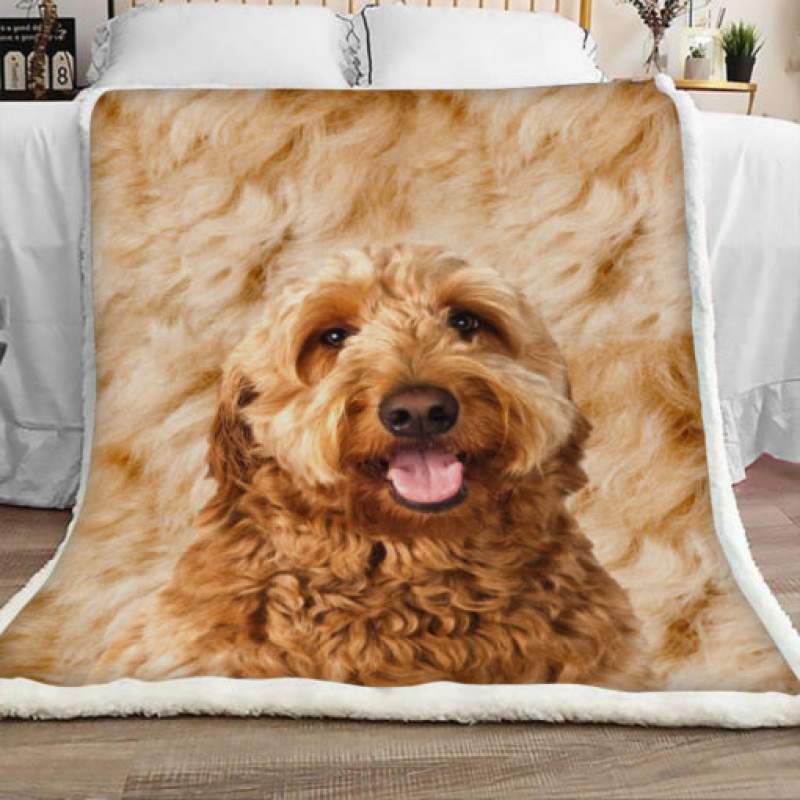 Goldendoodle Dog Sherpa Blanket JR1302 70O49