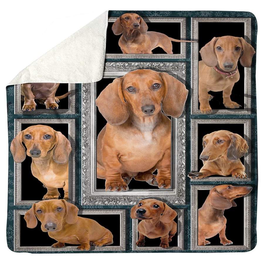 Vintage Dachshund Special  Custom Design For Dog Lovers Sherpa Blanket