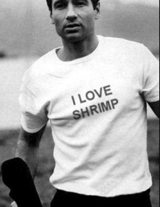 David Duchovny I Love Shrimp Tee Shirt Outfit