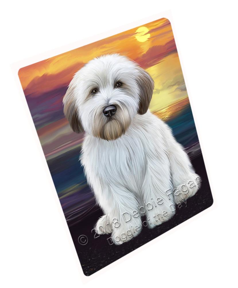 Wheaten Terrier Dog Blanket Blnkt82929