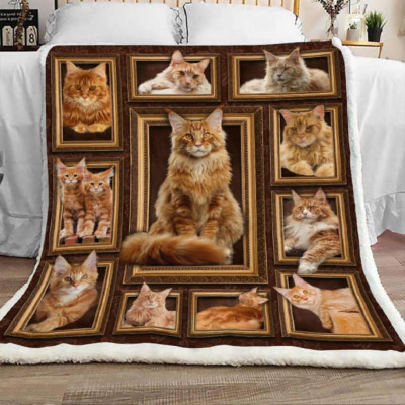 Maine Coon Cat Sherpa Blanket JR2002 90O41