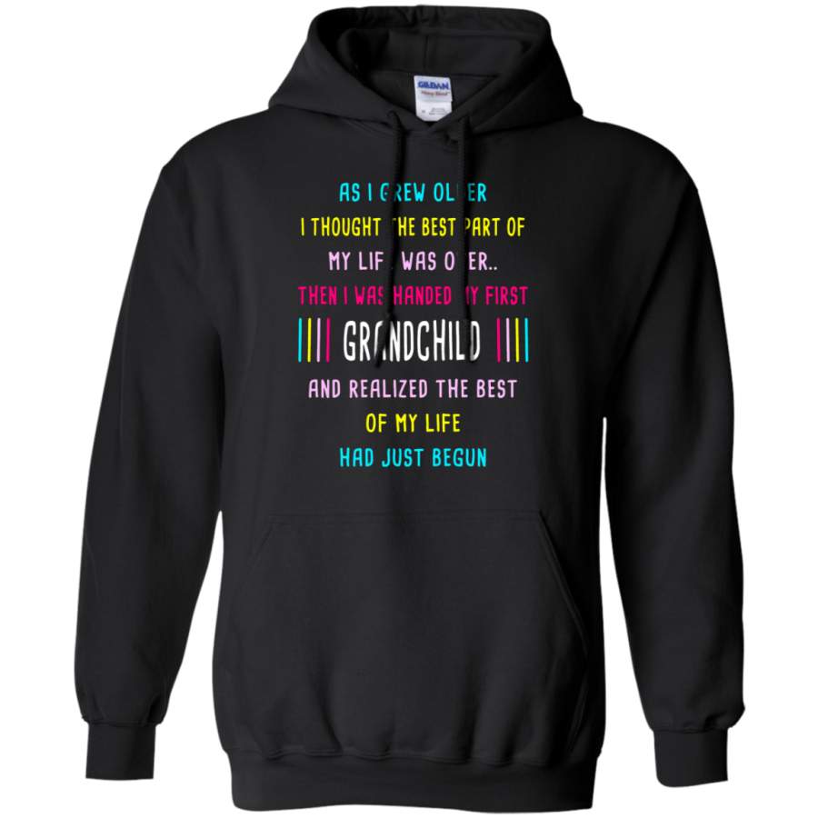 AGR As I Grew Older Then I Handed My First Grandchild Hoodie