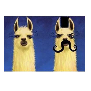 Llama Couple Funny Doormat Floor Mats Rugs Indoor And Outdoor Doormat Warm House Gift Welcome Mat Gift For Friend Family