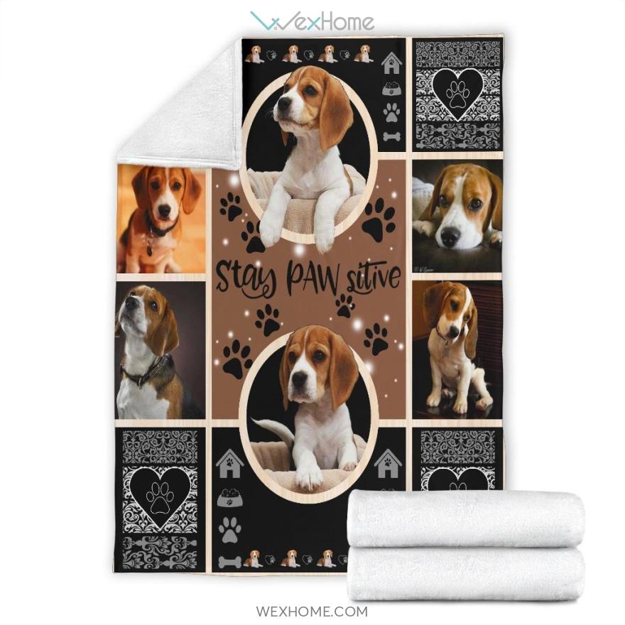 Stay Paw Sitive Beagle Positive Quote Dog Lovers Premium Blanket