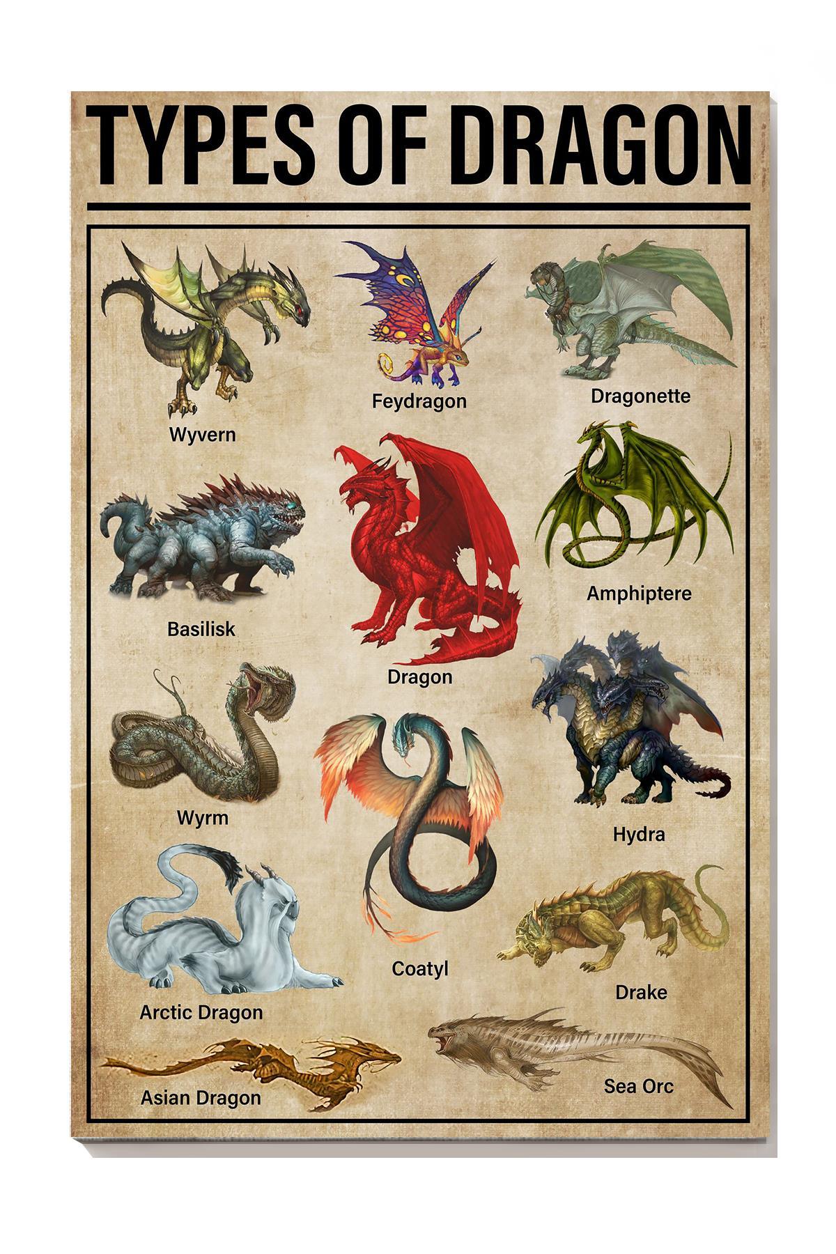 Types Of Dragon Animal Knowledge For Homeschool Nusery Kids Bedroom Decor Canvas