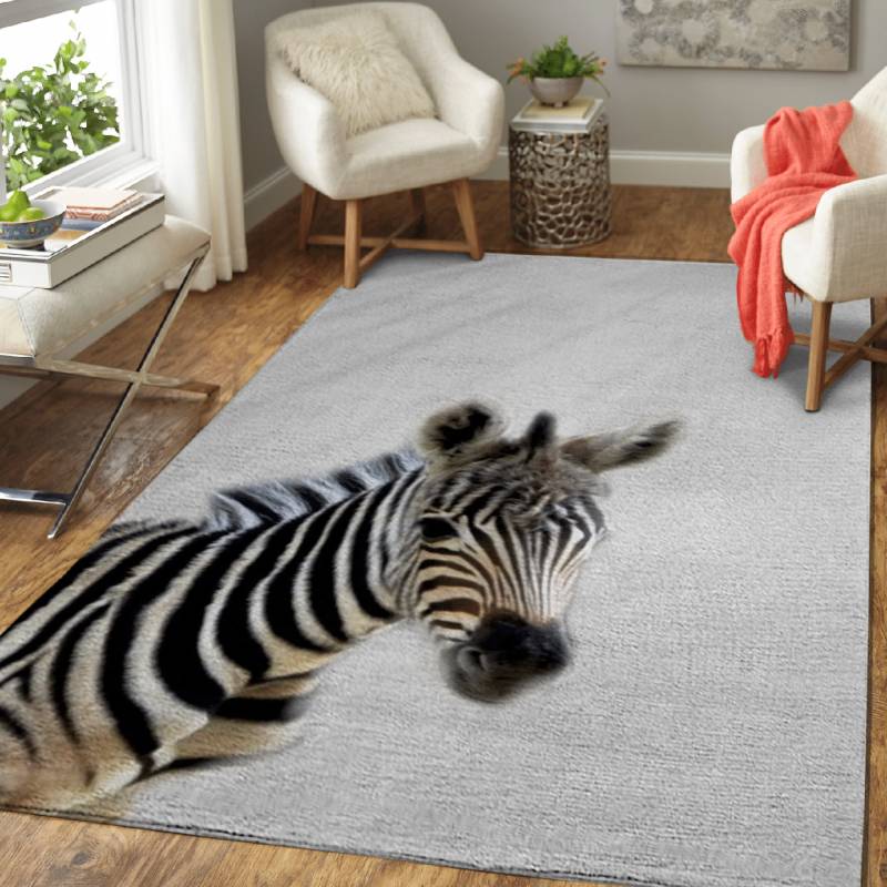 zebra baby – Animals Area Rug Carpet