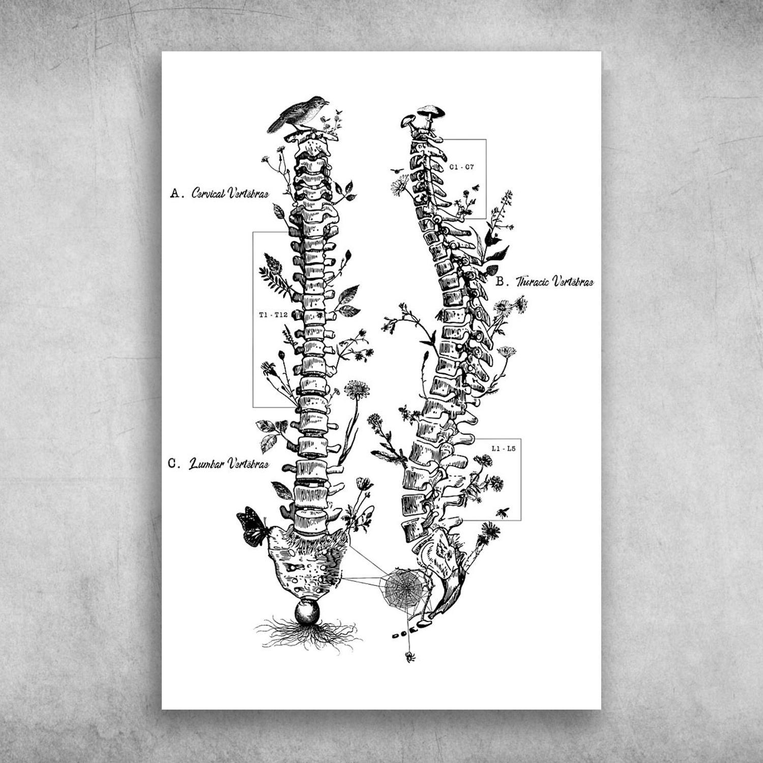 Spine Anatomy Diagram Spine And Flowers Neuro Nurse Neuroscience Poster Print Wall Art Canvas Wall Decor