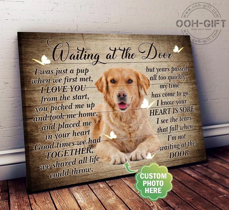 Custom Canvas, Custom Canvas Puppy, Paw, Waiting At The Door