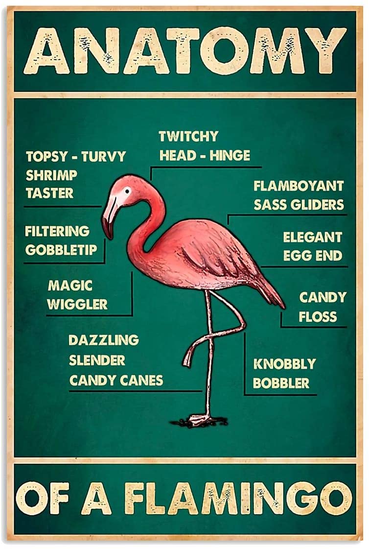 Vintage Flamingo Anatomy Poster Art Print      Home Decor Gift For Family Friend On Birthday