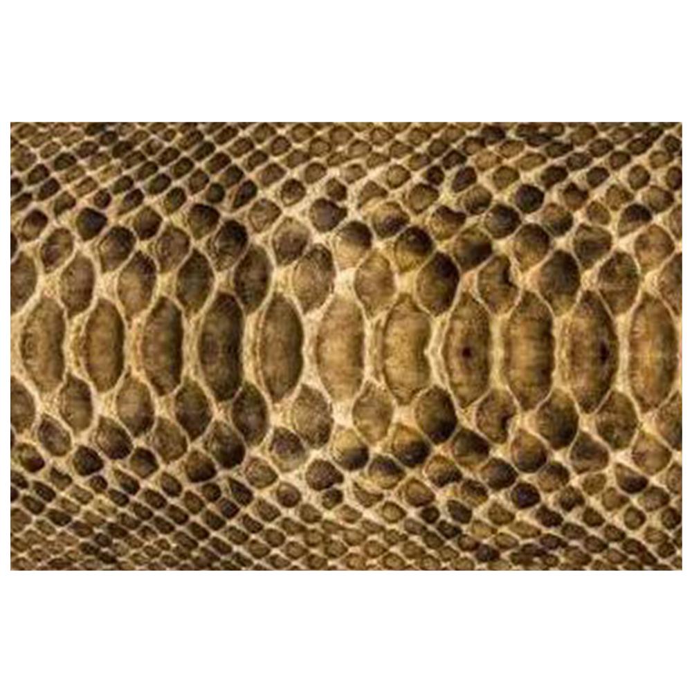 Animal Snake Skin Doormat Floor Mats Rugs Indoor And Outdoor Doormat Warm House Gift Welcome Mat Gift For Friend Family