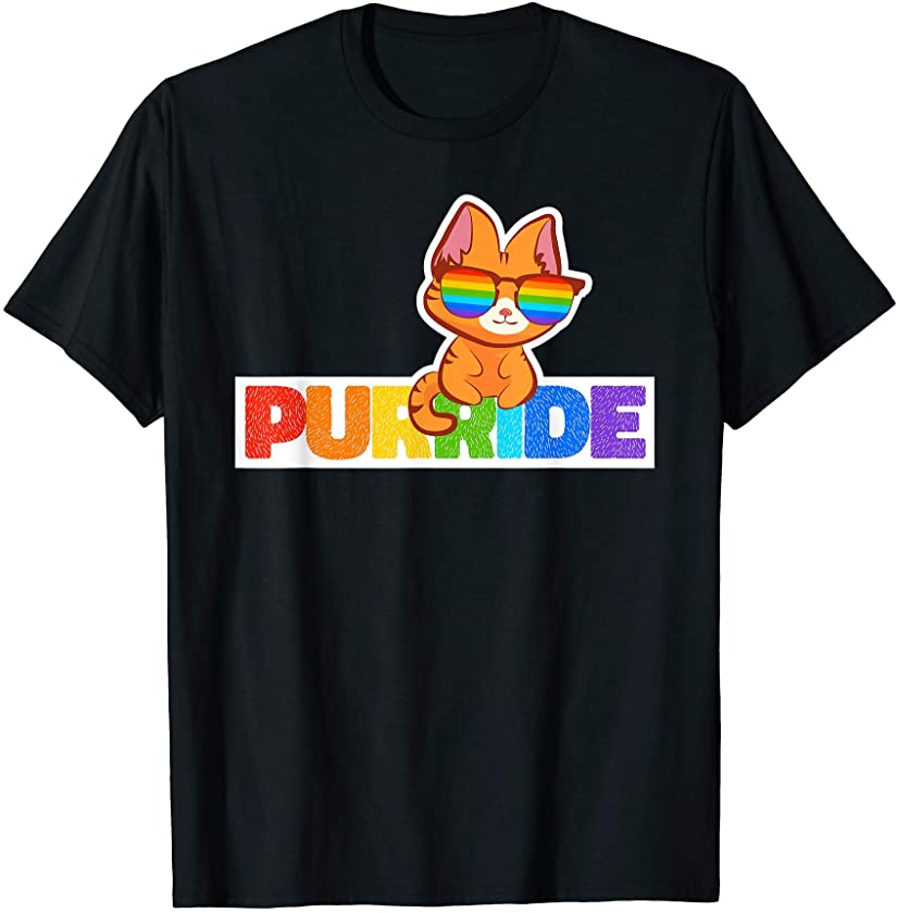 Purride Rainbow Flag Cat Funny Pride Kitten Gift T-Shirt