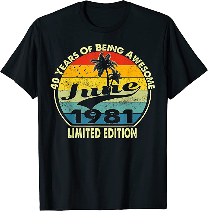 Vintage June 1981 Retro 40 Year Old 40th Birthday T-Shirt