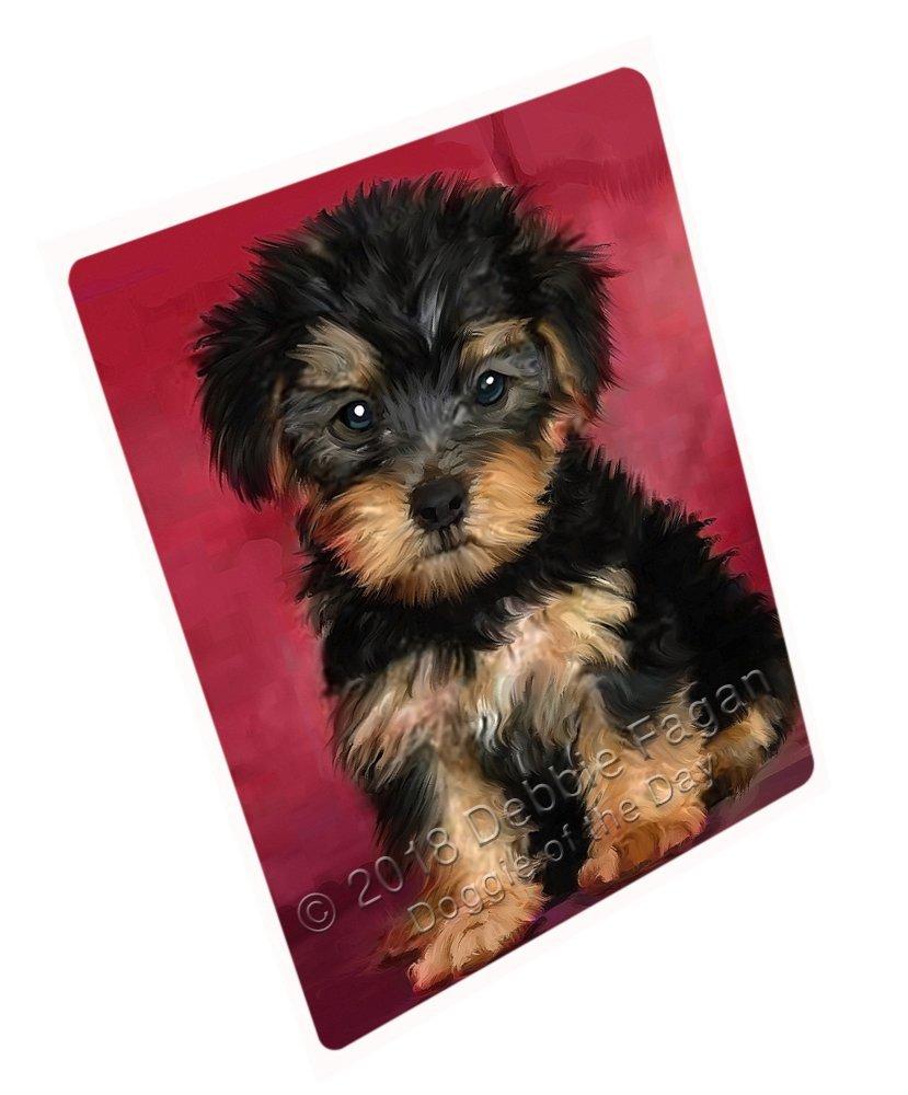 Yorkipoo Dog Blanket Blnkt51501