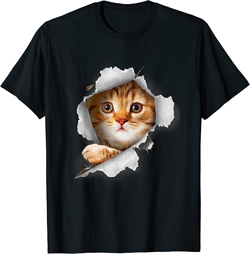 Cat Orange Cat Cat Torn Cloth Kitten T-Shirt