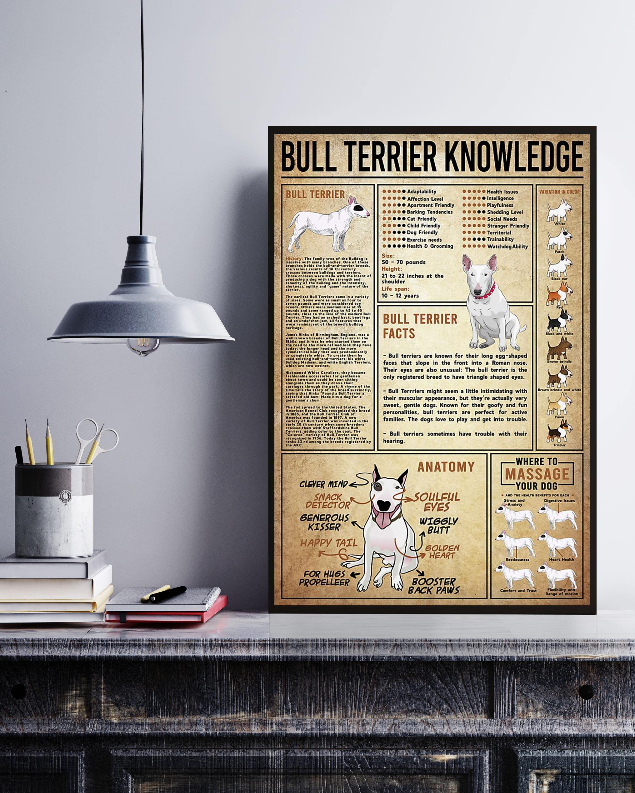 Bull Terrier Poster Poster Portrait Knowledge Poster No Frame