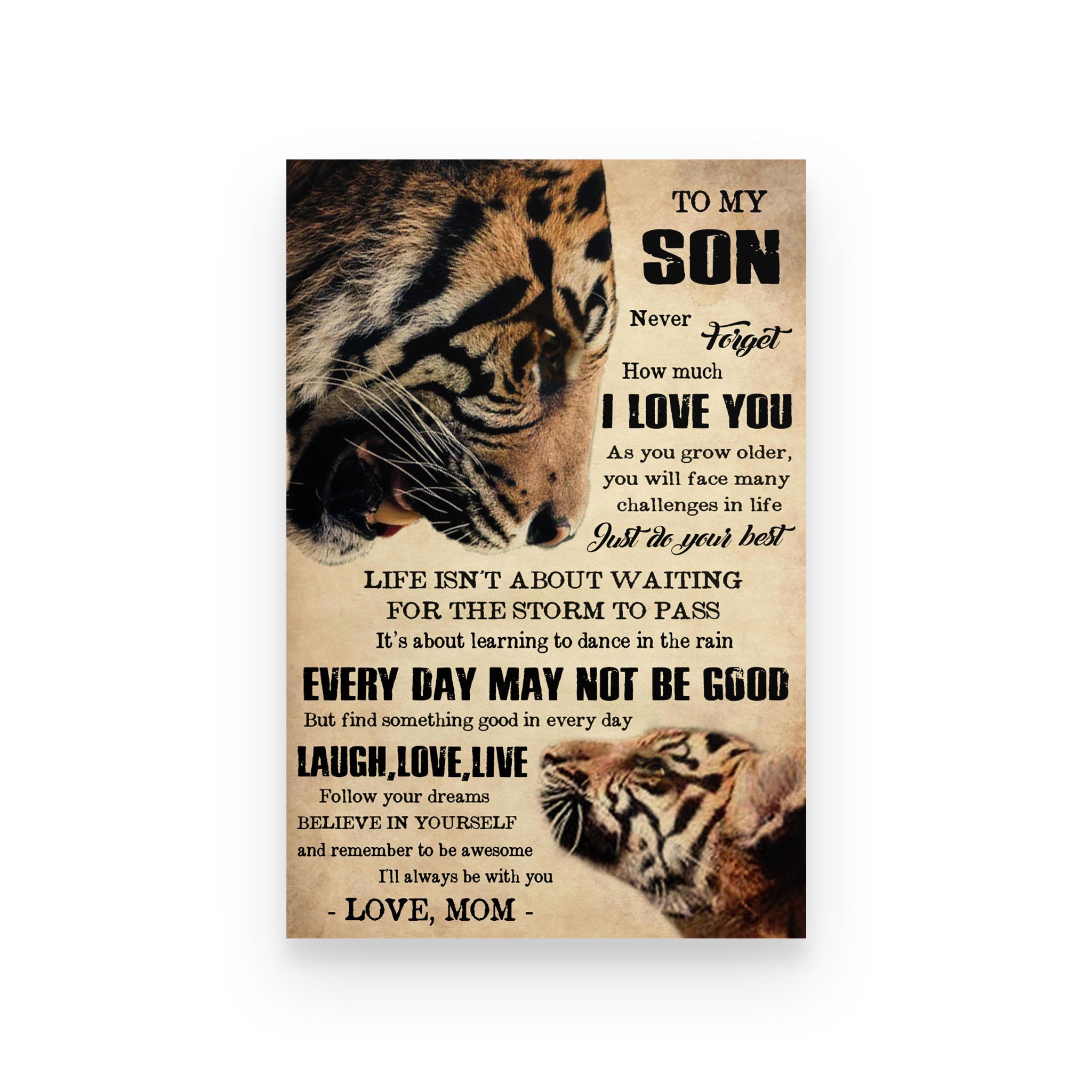 Tiger poster Mom to son life isn’t about waiting for the storm to pass it’s about learning to dance in the rain