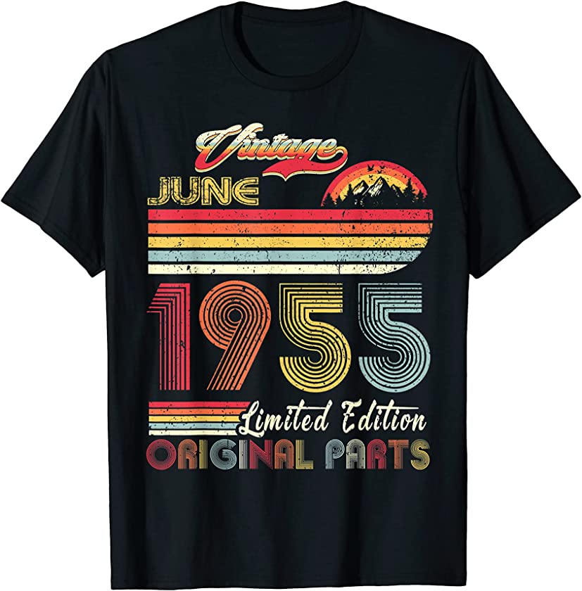 66 Year Old Retro Vintage June 1955 Funny 66th Birthday T-Shirt