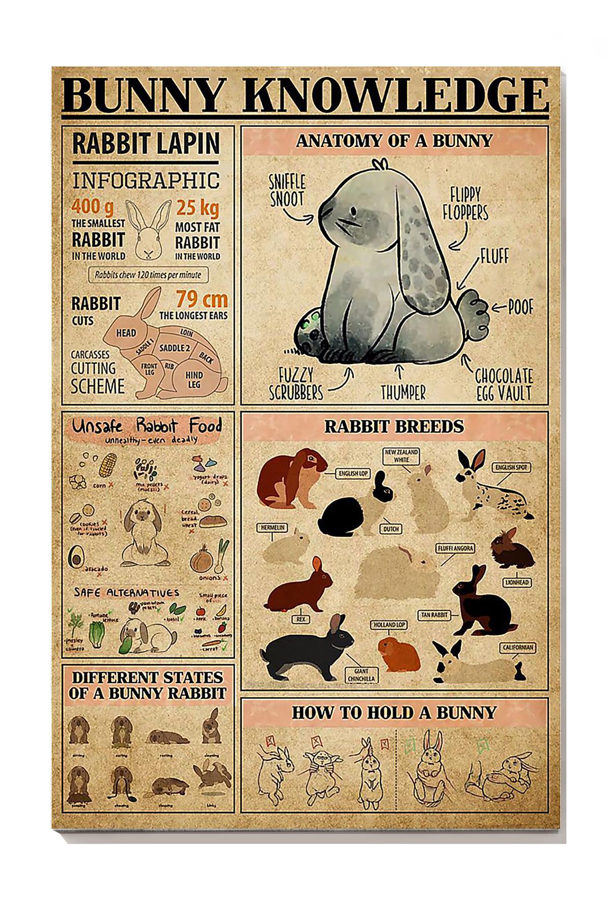 Bunny Cute Facts Animal Knowledge Wall Art For Homeschool Nusery Kids Bedroom Decor Canvas