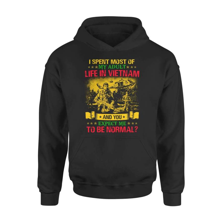 Vietnam Veteran – To Be Normal? – Premium Hoodie