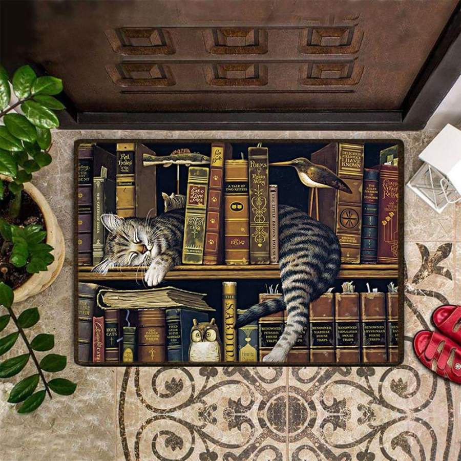 Cat Sleep On Self Book Doormat Indoor Ouside Decorative Doormat For Cat Lover Housewarming Gift