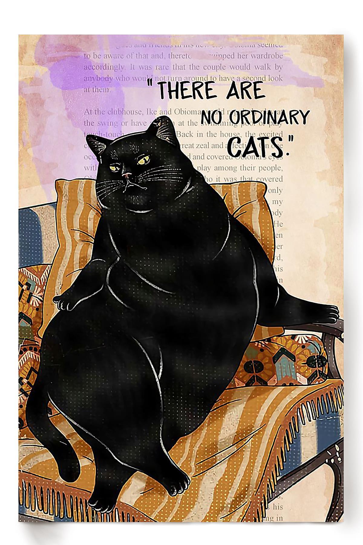 Cat There Are No Ordinary Animal Wall Art Gift For Cat Lover International Cat Day Kitten Foster Poster