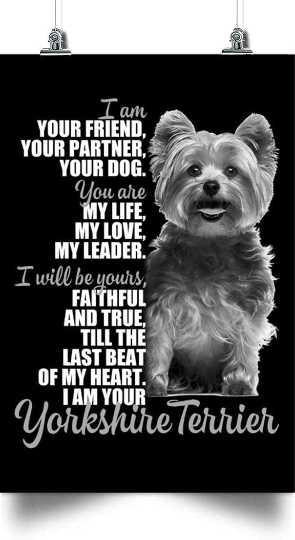 Yorkshire Terrier Vertical Poster – I Am Your Friend – Home Decoration Poster, Wall Poster, Home And Room Decoration, Gifts For Friends And Relatives, Souvenirs, Poster For Lover Dog.