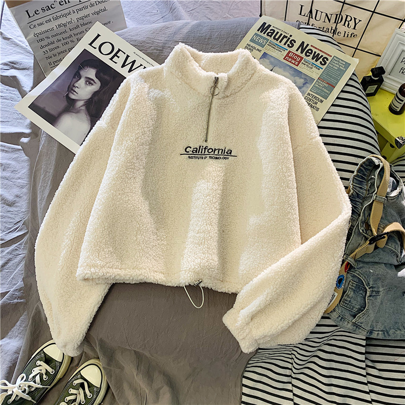 Cashmere Short High Collar Hoodies Women Thicken Loose Korean Autumn Zipper Coat Embroider California Letters Sweatshirt Femme alx