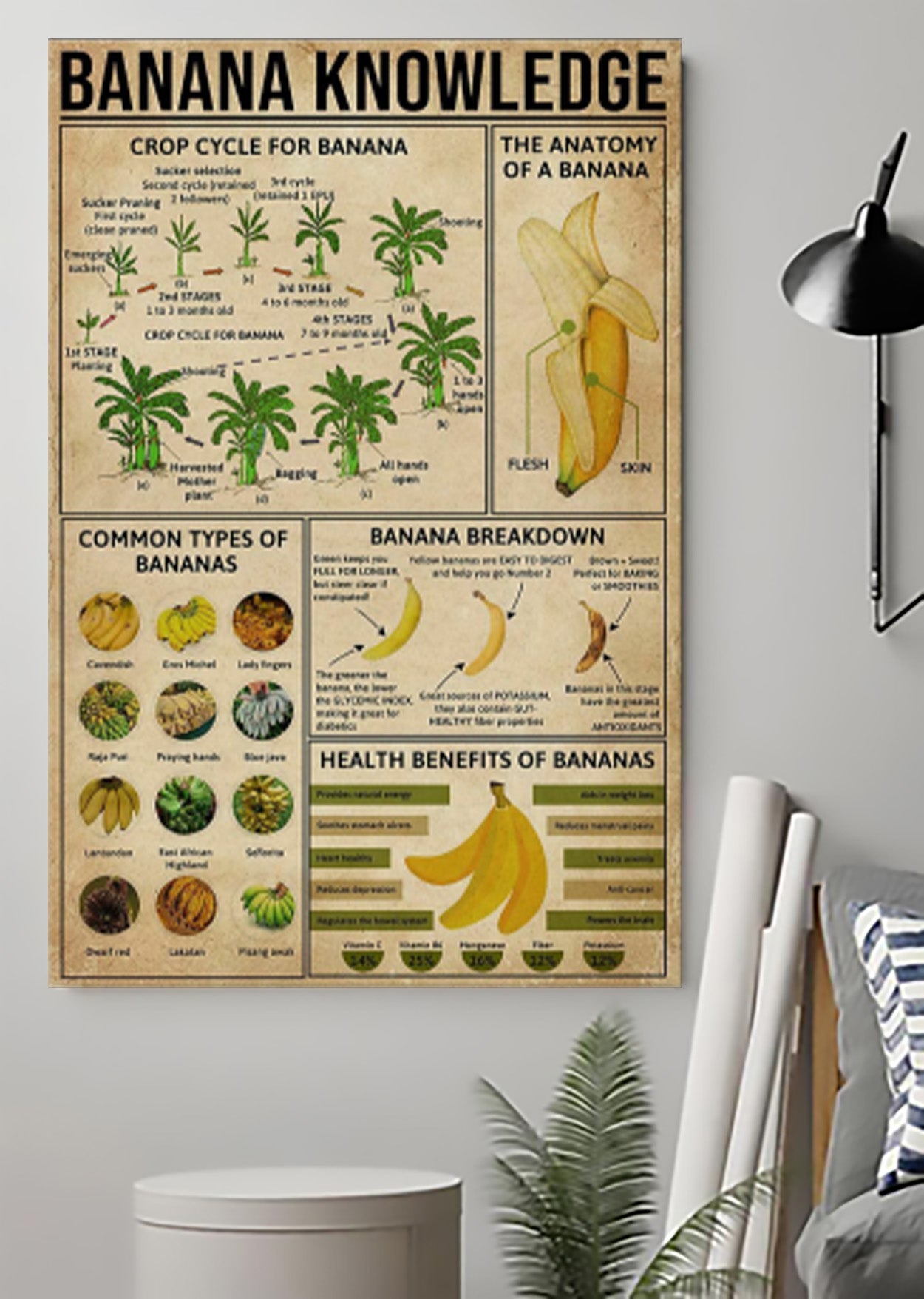 Farm Fruit Banana Knowledge Poster