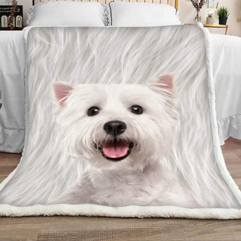 Westie Dog Sherpa Blanket JR1401 81O52