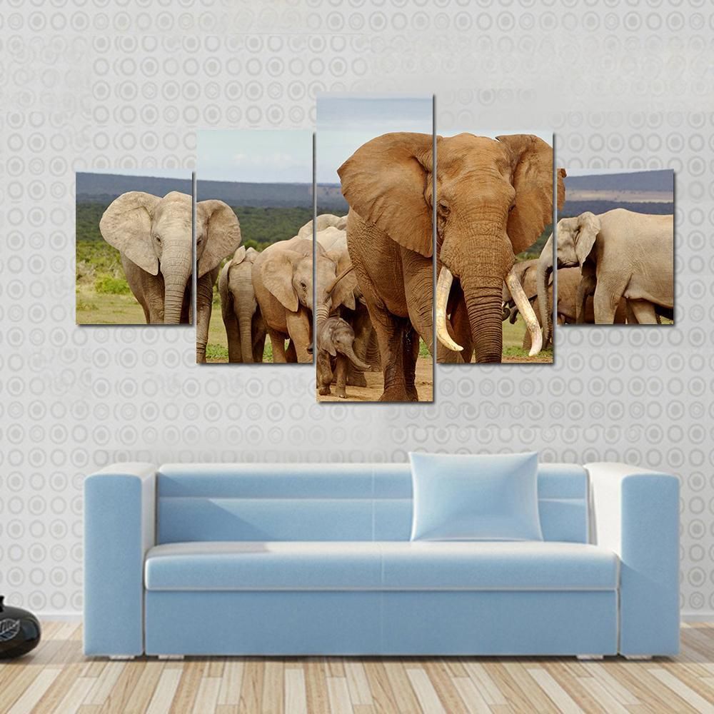 An Elephant Herd With Tusker Animal 5 Panel Canvas Art Wall Decor