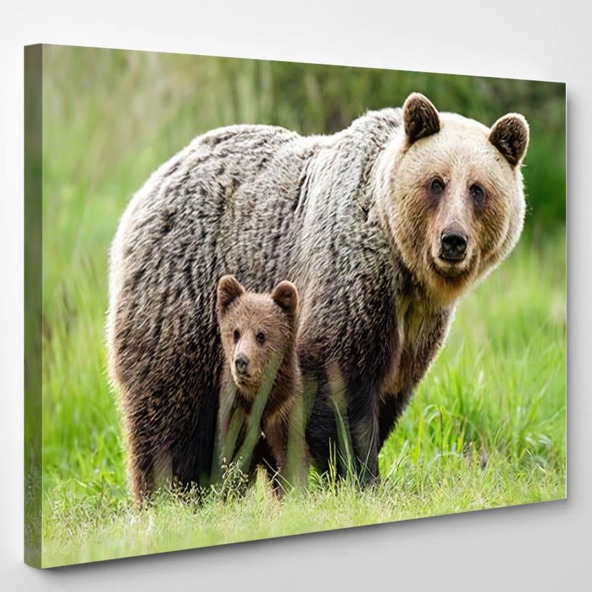 Adorable Cub Adult Female Brown Bear – Bear Animals Canvas Print