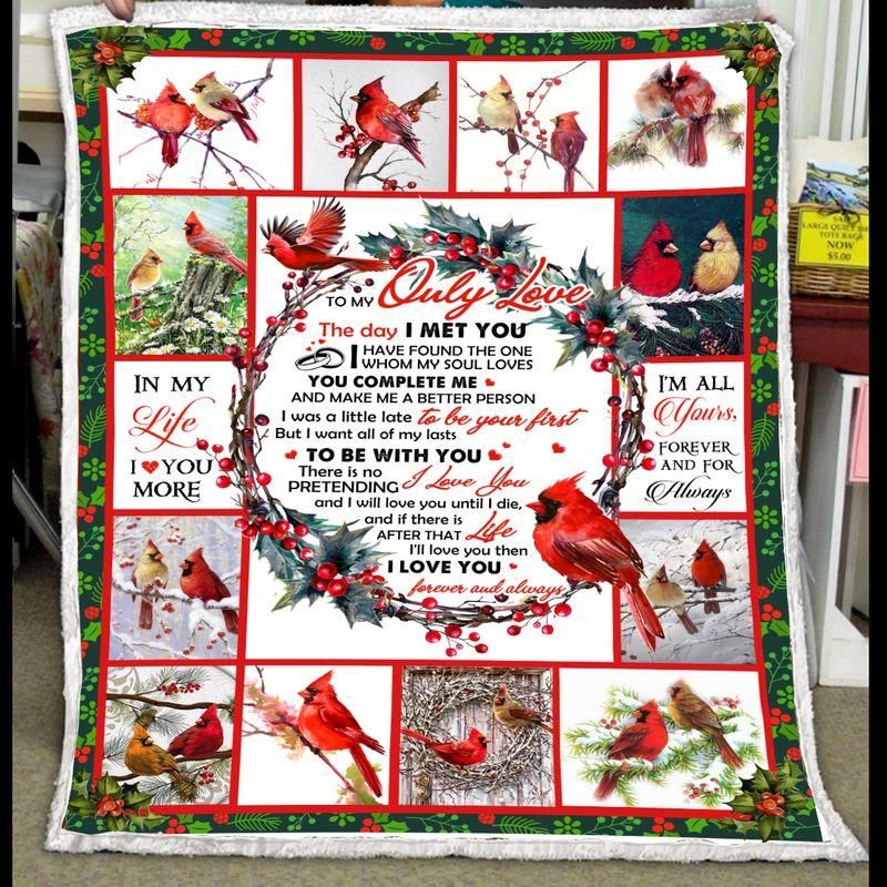 Cardinal Bird Gift For Lover In My Life I Love You More Fleece Blanket, Sherpa Blanket, Gift For Parent, Family Member, Friends Gift, Christmas Gift, Home Decor, Home Living