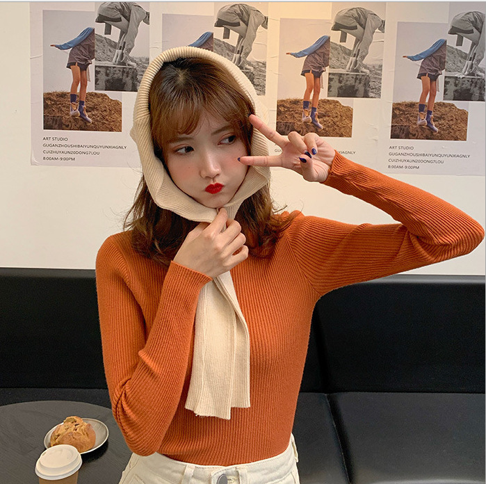 Spring Autumn Turtleneck Pullovers Sweaters Basic Women Long Sleeve Korean Slim Sweaters Casual Jumper Female Knitted Top Shirt alx