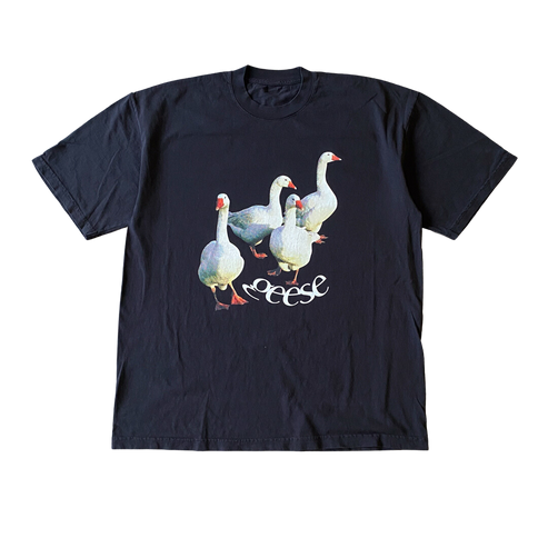 Geese Walking Tee Shirt Outfit  For Men  For Women