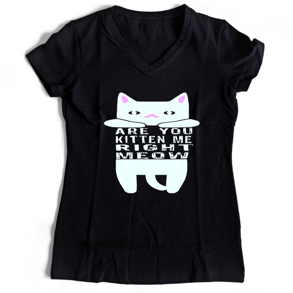 Are You Kitten Me Right Meow Home Women’s V-Neck Tee T-Shirt