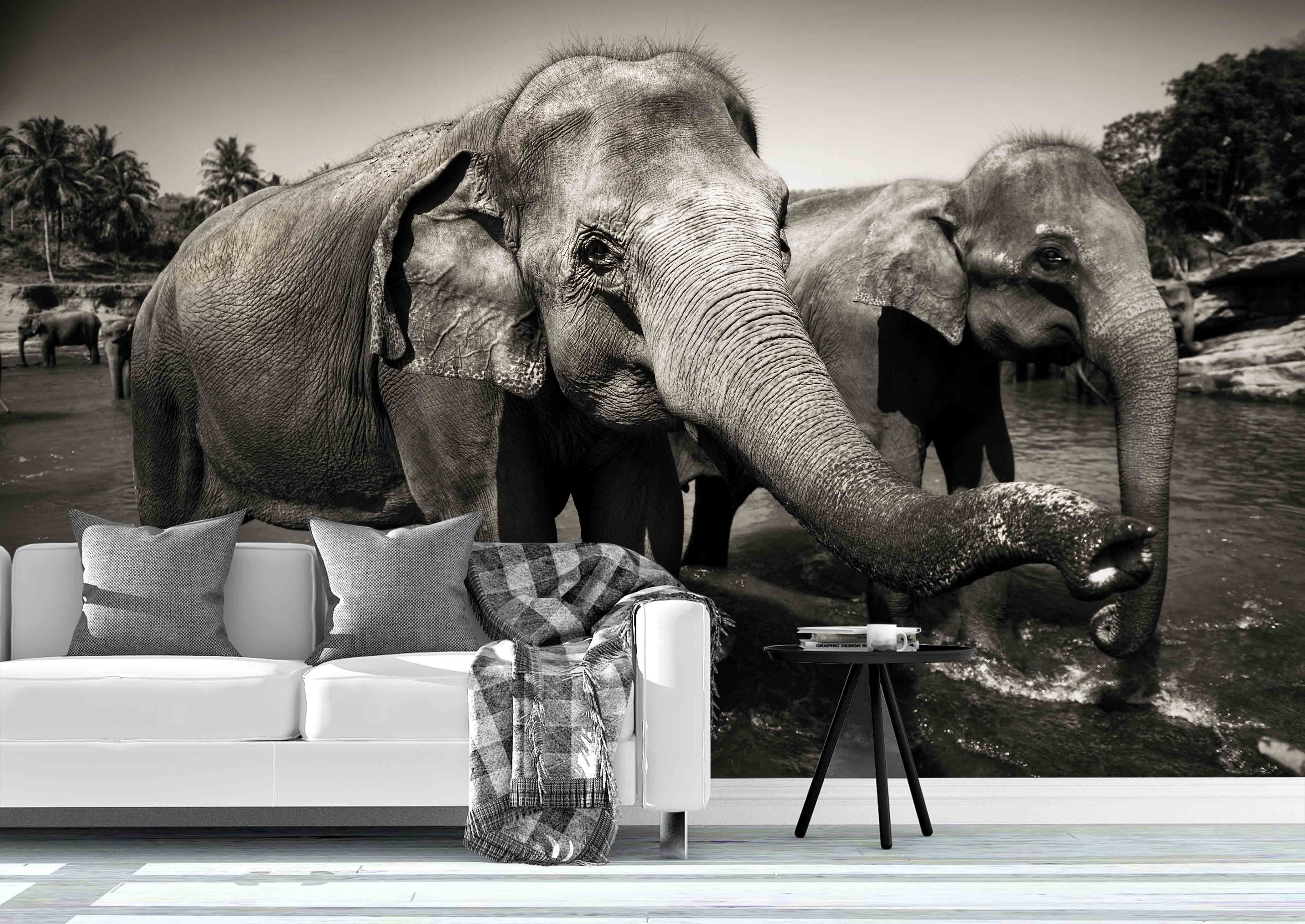 3D Sri Lankan Elephants Wall Mural Wallpaper 65