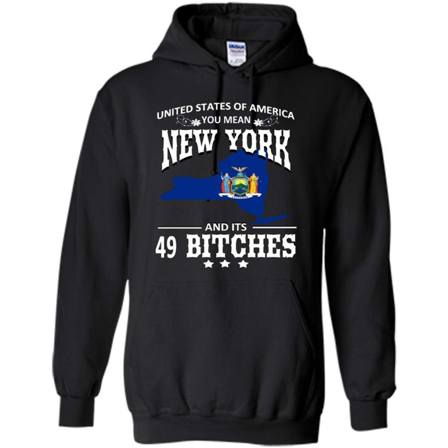 United States Of America You Mean New York And Its 49 Bitches – Gildan Heavy Blend Hoodie