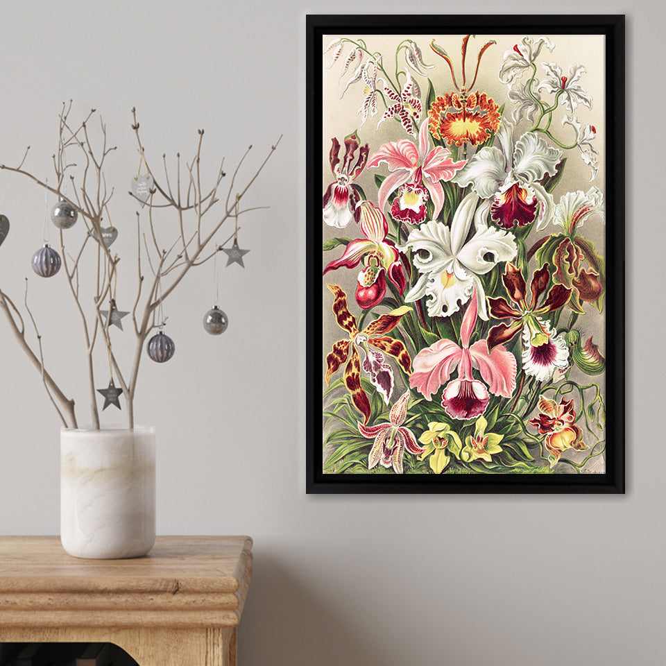 Orchideae Framed Canvas Print – Canvas Painting, Canvas Art, Wall Art, Wall Decor