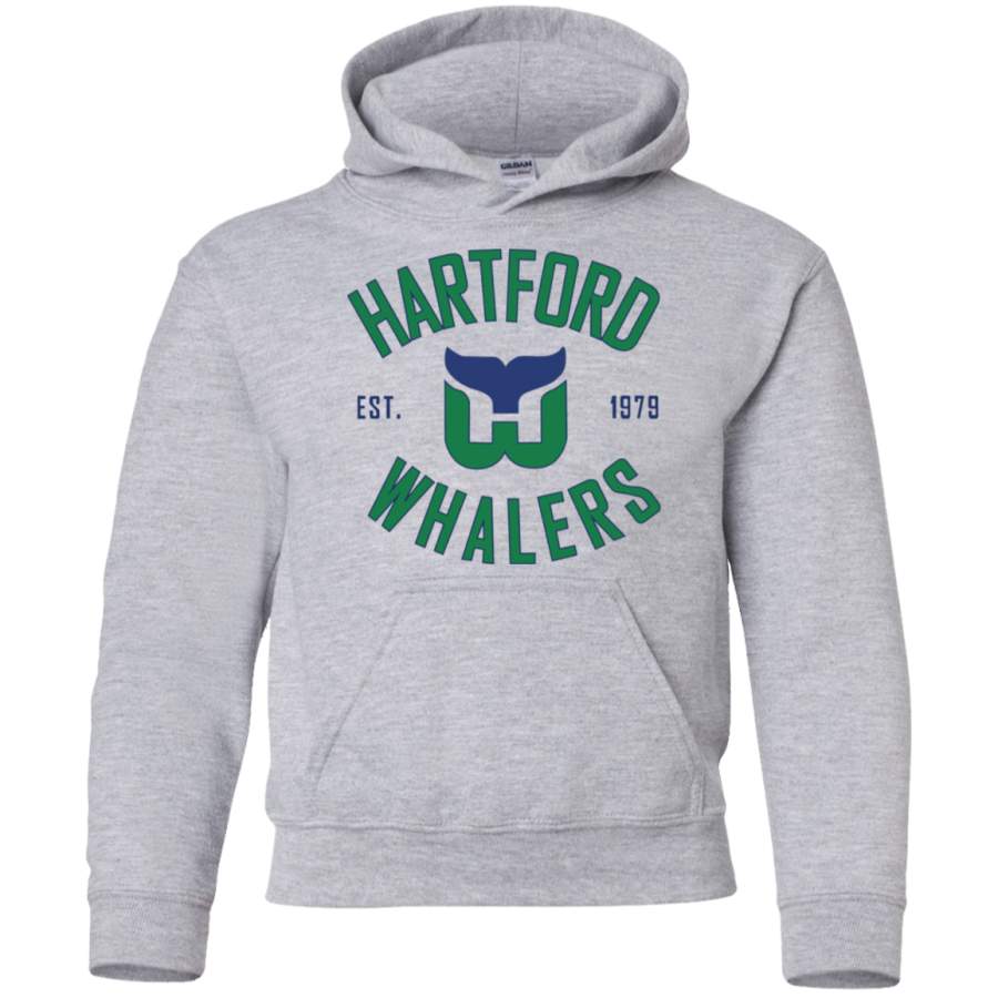 AGR Hartford whalers Youth Pullover Hoodie