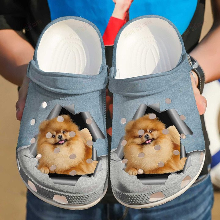 Pomeranian Hello Crocss Classic Clogs Shoes For Men Women Kids