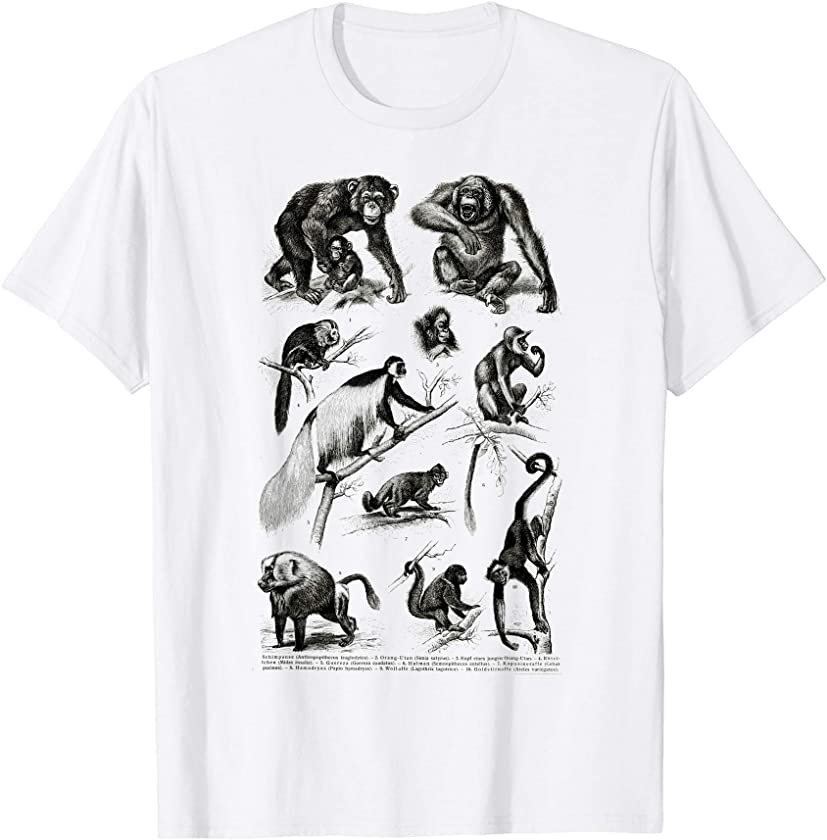 Vintage Monkeys Apes Chimpanzee Primates Evolution Biology T-Shirt