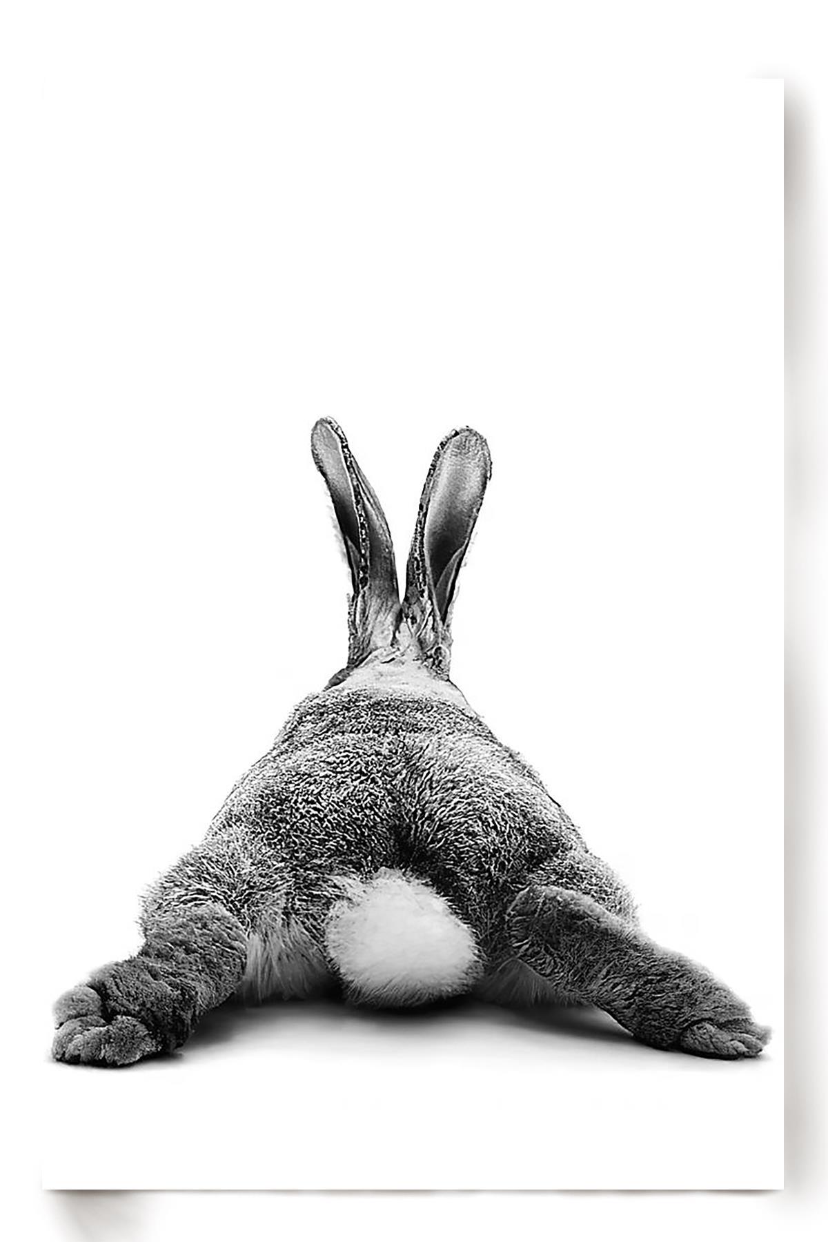 Cute Rabbit Butt Funny Gift For Friends Birthday Houswarming Poster