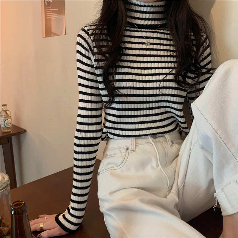 Women Turtleneck Striped Sweater Harajuku Winter Retro Women’s Thick Slim Stretch Warm Tops 2022 Autumn Knitted Pullover alx