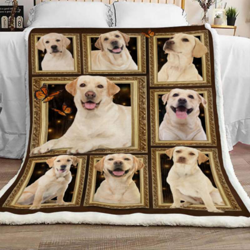 Labrador Retriever Dog Sherpa Blanket JR3102 68O50