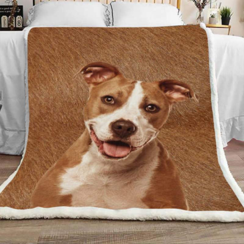 Pitbull Dog Sherpa Blanket JR1501 69O49