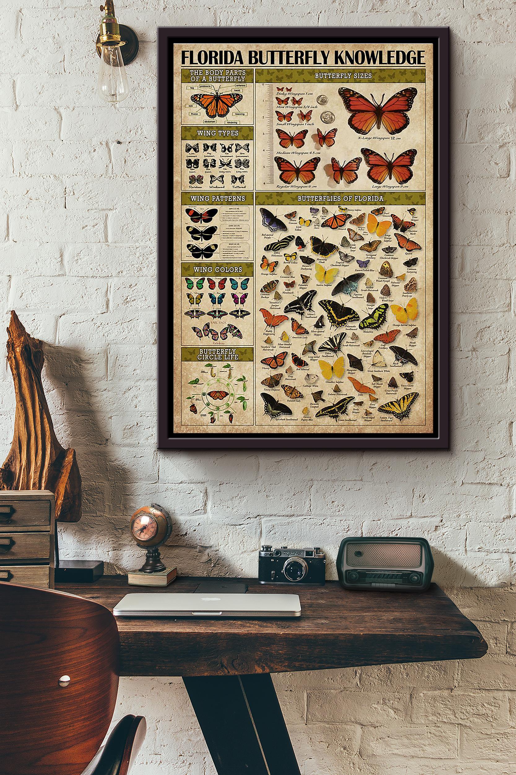 Butterfly Florida Butterfly Knowledge Framed Matte Canvas